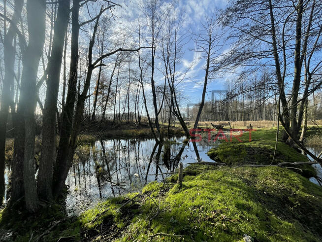 Dom Korabiewice gm. Puszcza Mariańska,