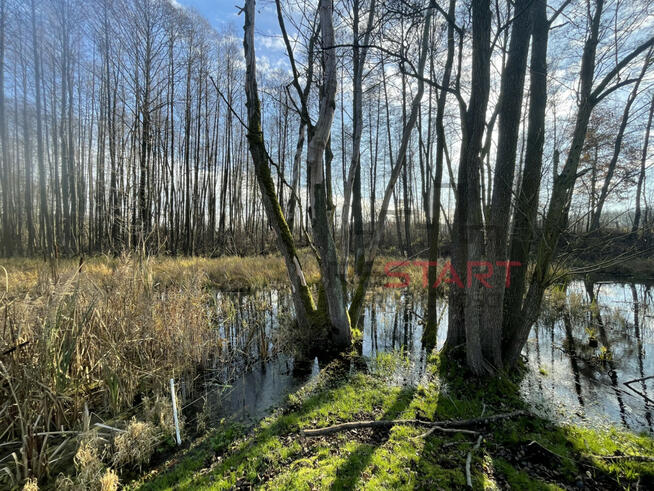 Dom Korabiewice gm. Puszcza Mariańska,
