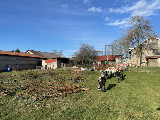 Dom Korabiewice gm. Puszcza Mariańska,