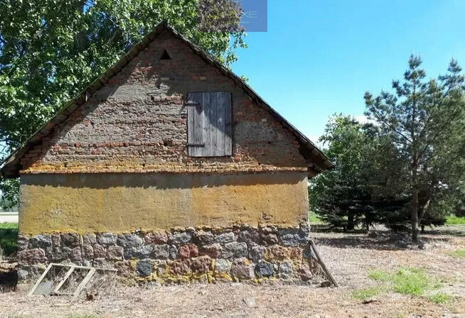 Działka Jastrzębia gm. Gostynin