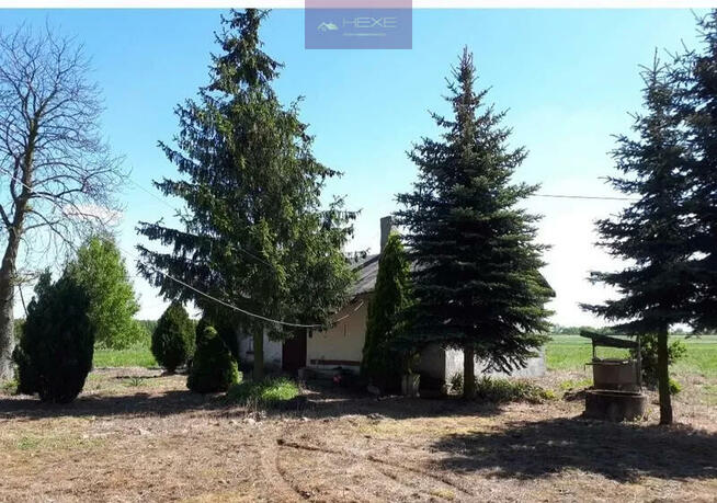 Działka Jastrzębia gm. Gostynin