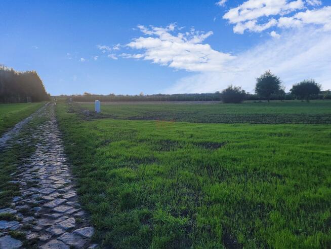 Działka budowlana gm. Domaniów, Wiosenna