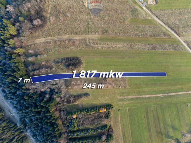 Twój kawałek natury w Ostrowsku