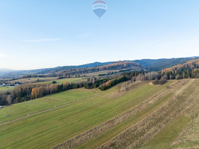 Twój kawałek natury w Ostrowsku