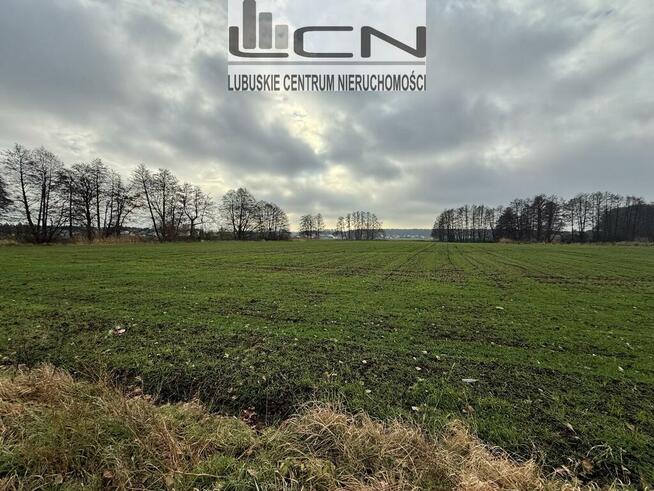 SPRZEDAM działki Gorzów Wlkp. obręb Zieleniec