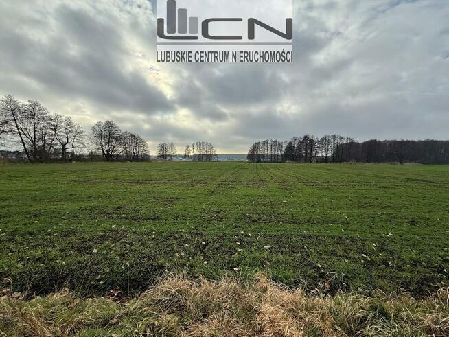 SPRZEDAM działki Gorzów Wlkp. obręb Zieleniec