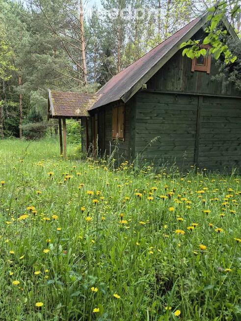 Działka rekreacyjna w pięknej okolicy