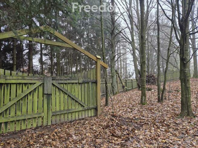 Działka rekreacyjna w pięknej okolicy