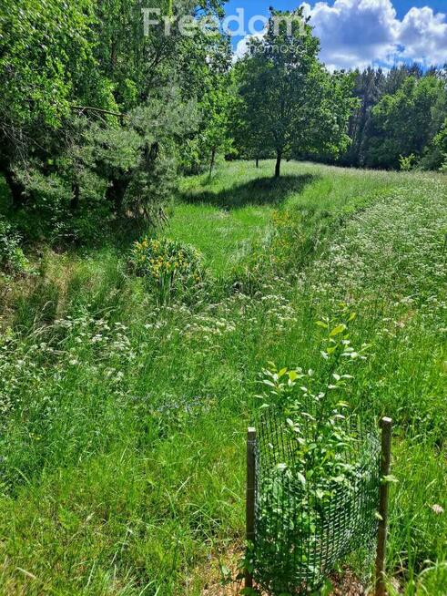 Działka rekreacyjna w pięknej okolicy