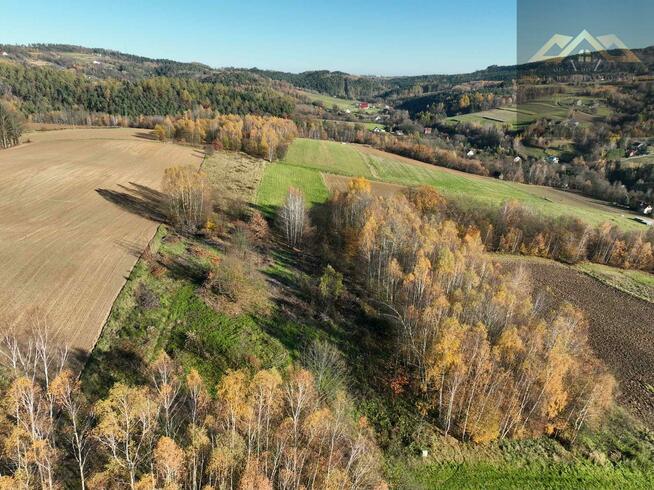 Działka rolno-budowlana Olszowa gm. Zakliczyn