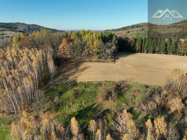 Działka rolno-budowlana Olszowa gm. Zakliczyn