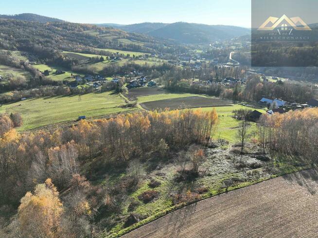 Działka rolno-budowlana Olszowa gm. Zakliczyn