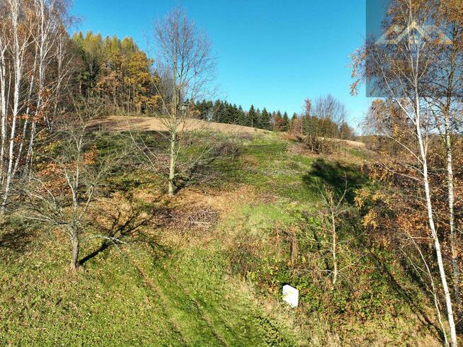 Działka rolno-budowlana Olszowa gm. Zakliczyn
