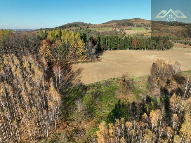 Działka rolno-budowlana Olszowa gm. Zakliczyn