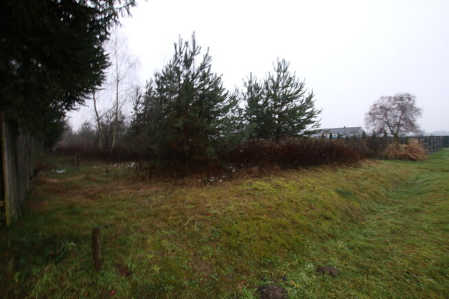 Działka rolno-budowlana 1,52 ha Dąbrowa gm. Ludwin