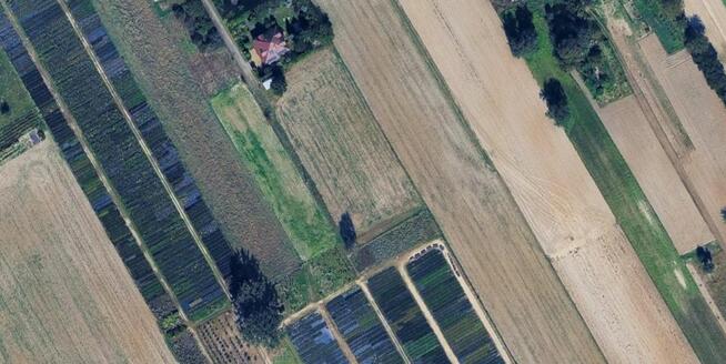 Działka budowlana Tereszyn gm. Konopnica,