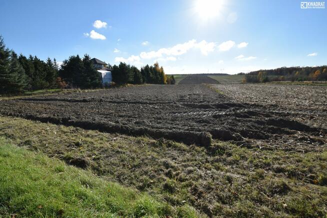 Działka budowlana Polanówka gm. Strzyżewice