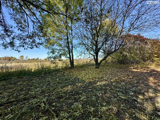 Lokal użytkowy Tomaszowice gm. Jastków