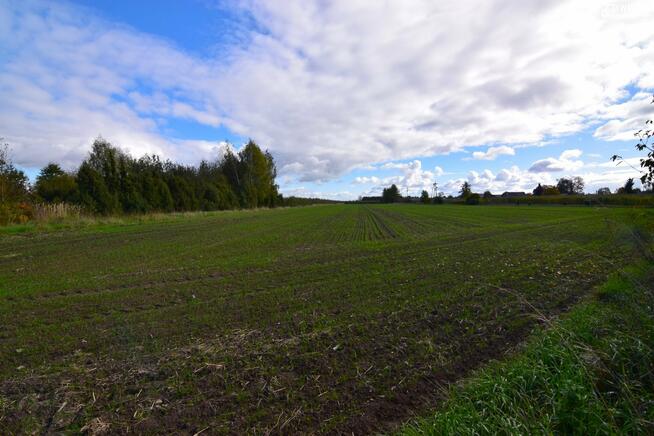 Działka budowlana Kozłówka gm. Kamionka