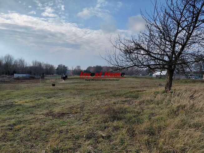 Działka budowlana Bełk gm. Czerwionka-Leszczyny