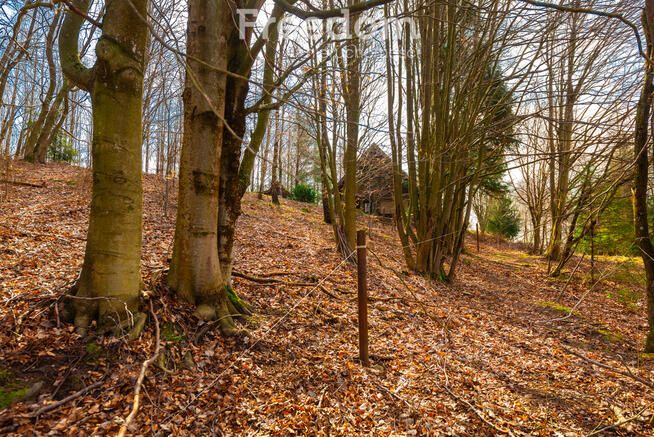 ***Rezerwacja***Działka 2,13 ha -Warunki zabudowy