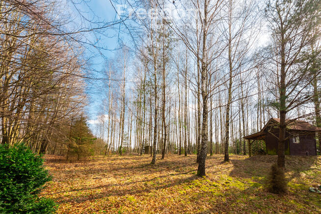 ***Rezerwacja***Działka 2,13 ha -Warunki zabudowy