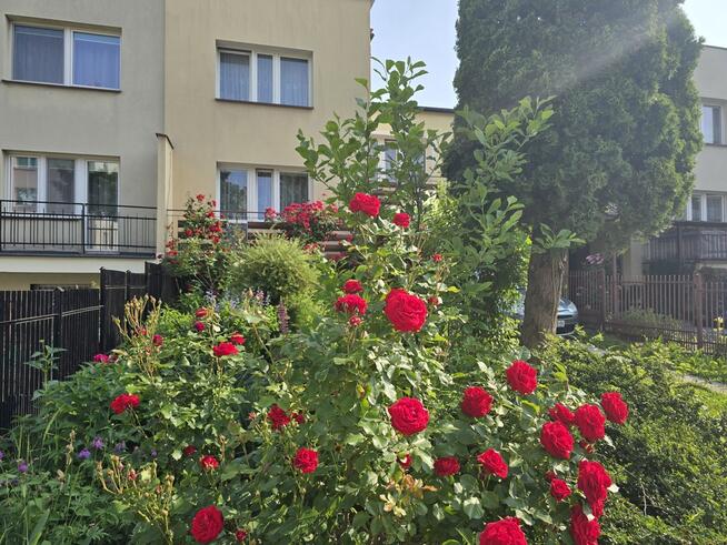 Dom jednorodzinny > 120 m2 > działka 230 m2