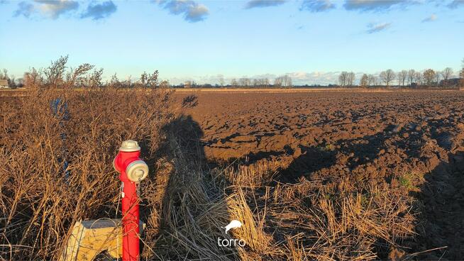 Idealna Działka pod Budowę dużego Domu – *20min od Centrum G