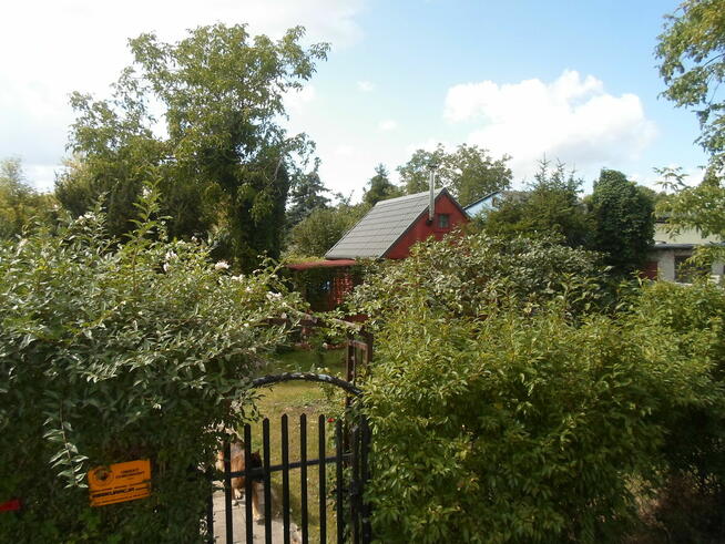 SPRZEDAM DZIAŁKĘ W ROD ,,WŁÓKNIARZ,,