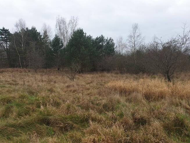 Działki budowlane NAD MORZEM Osada Leśna Ustka Słupsk