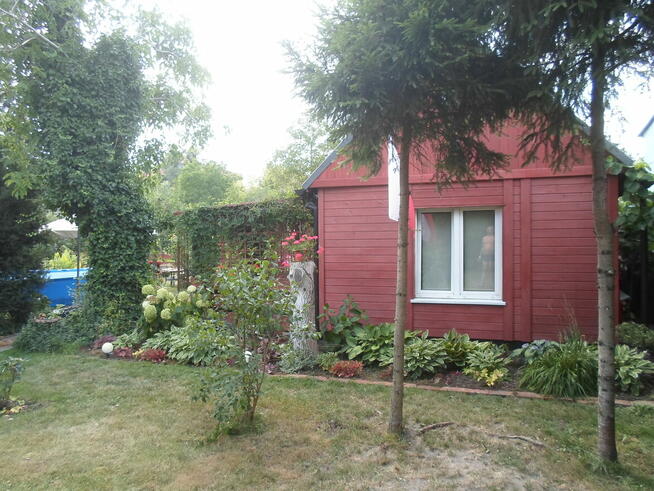 SPRZEDAM DZIAŁKĘ W ROD ,,WŁÓKNIARZ,,