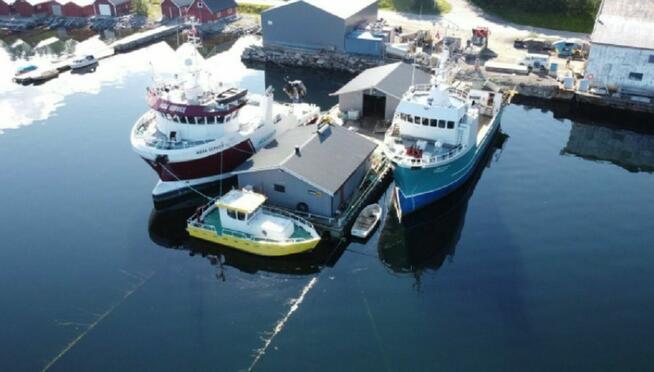 MONTER KADŁUBÓW OKRĘTOWYCH - Steel hull fitters