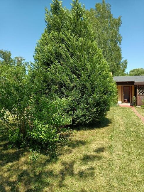 Działka 1306m2 nad rzęką z domkiem 50m2