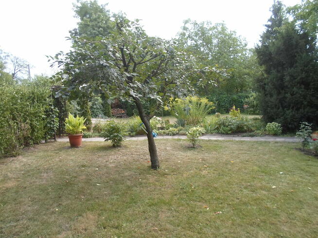 SPRZEDAM DZIAŁKĘ W ROD ,,WŁÓKNIARZ,,