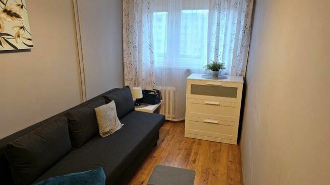 mieszkanie do wynajęcia idealne dla pary