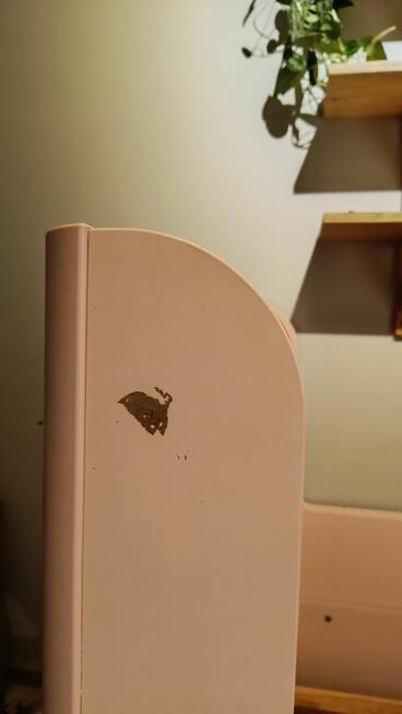 Łóżka dziewczęce