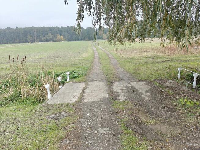 Syndyk sprzeda - Kobierne