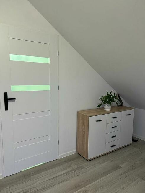 Mieszkanie do wynajęcia