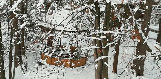 SZKLARSKA PORĘBA 2026 FERIE Z WYŻYWIENIEM1250zł /6dni/5nocy