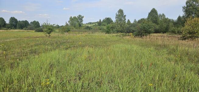 Udział 1/2 w nieruchomości gruntowej Kielce