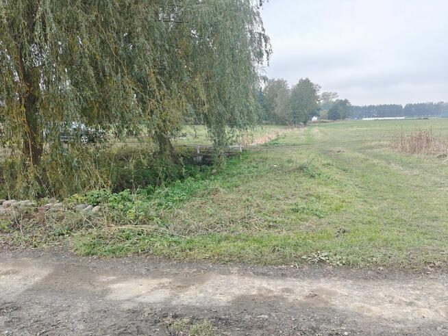 Syndyk sprzeda - Kobierne