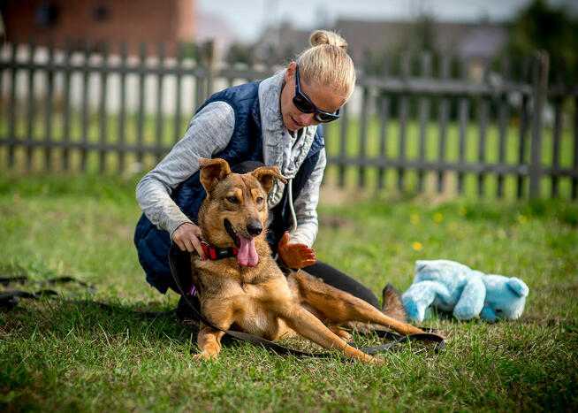 Kromka szczęścia szuka kogoś do podziału