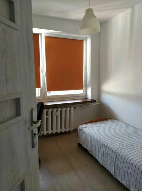 pokój 1-osobowy / centrum Gliwic