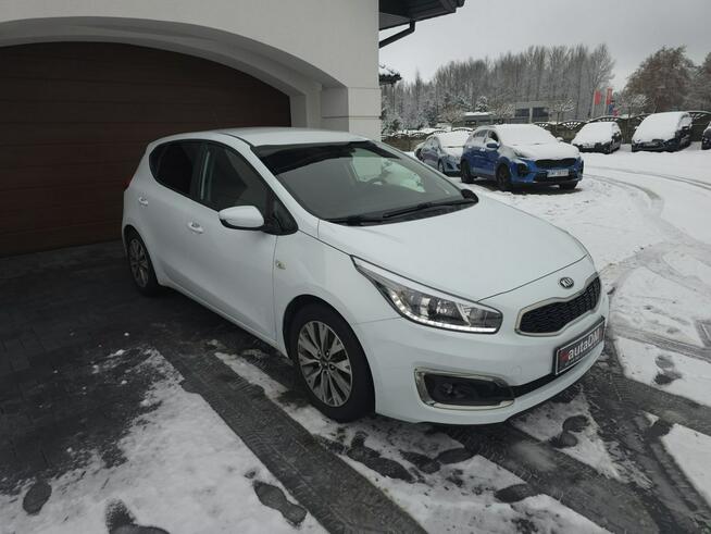 Kia Cee'd Bogate wyposażenie | Niski przebieg