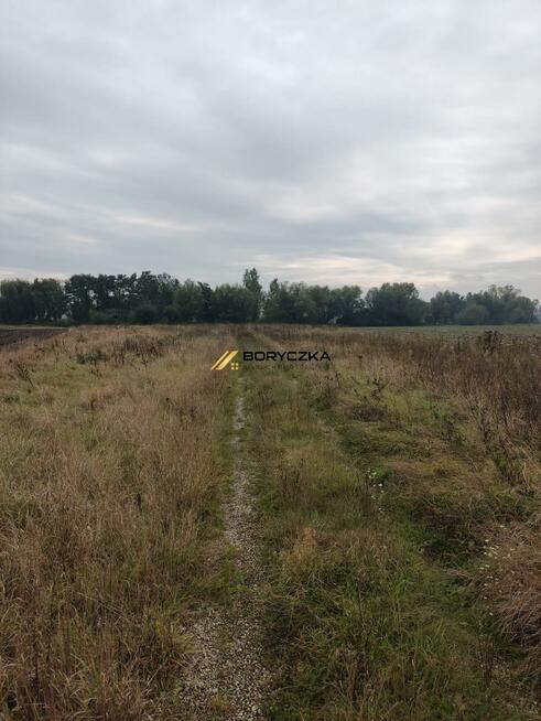 Dom Zalesie gm. Łubnice