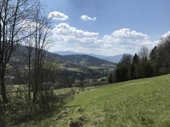 Działka rolna Pewel Wielka gm. Jeleśnia Buławka,