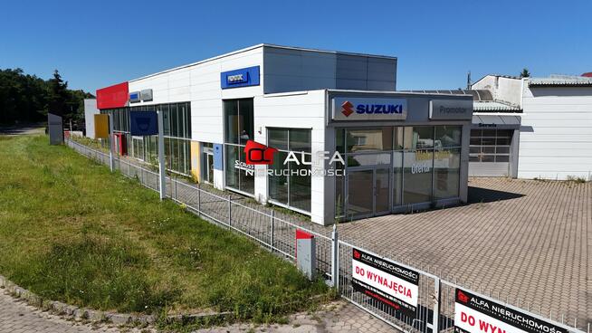 Lokal użytkowy Świdnica