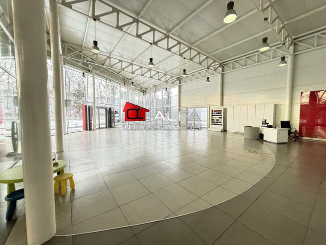 Lokal użytkowy Świdnica