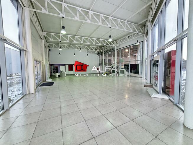 Lokal użytkowy Świdnica