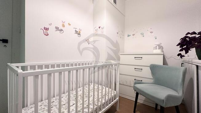 Mieszkanie, w którym kot jest prezesem